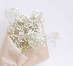 専用のサムネイル