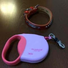 小型犬用首輪&リードセットのサムネイル