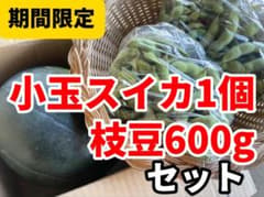 小玉すいか×1玉（約3kg）　枝豆　約600g セットのサムネイル