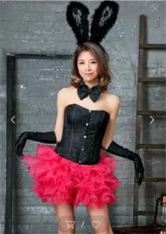 ちゃん様専用バニーコスプレのサムネイル