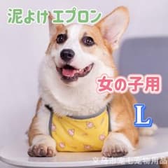 コーギー用泥よけエプロン イエロー【女の子用L】 お散歩 雨上がり