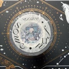 9847】海外 3/5/巻 貝殻光マスキングテープ コンサート シャム猫x音楽