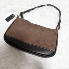美品 コーチ 6094 シグネチャー アクセサリーポーチ ワンショルダー 茶