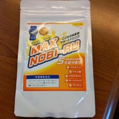 マックスノビールのサムネイル