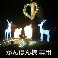 がんほん様 専用のサムネイル