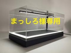 1/18 レッドブル仕様LED照明付ディスプレイケース【半艶ネイビー