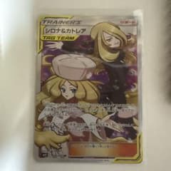 M*Y様 シロナ＆カトレアのサムネイル