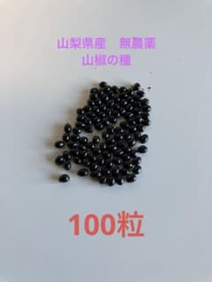 山梨県産　無農薬　山椒の種　100粒のサムネイル