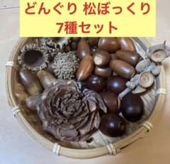 どんぐり 松ぼっくり 木の実 7種 リース材料セットのサムネイル