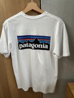 Patagonia パタゴニア Tシャツ ホワイト M オーガニックコットンのサムネイル