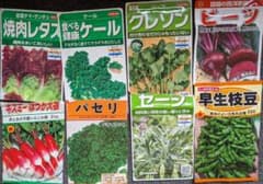 春まき　野菜の種8種類　おまけ2種付きのサムネイル