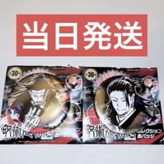 芥見下々 呪術廻戦展 コレクション缶バッジ 夏油傑 羂索 2点セット 芥見下々 呪術廻戦展 コレクション缶バッジ 夏油傑 羂索 2点セット
