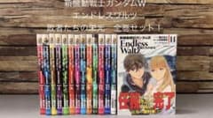 新機動戦記ガンダムW Endless Waltz 敗者たちの栄光 全14巻セット