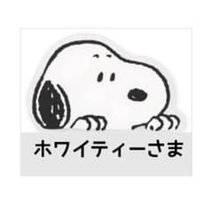 ホワイティさま 専用ですのサムネイル