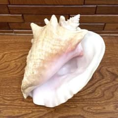 m34968397229_1.jpg?1736376965