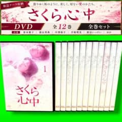 さくら心中　DVD12巻セット 笛木優子 名作昼ドラ さくら心中 DVD 全12巻 全巻セット 笛木優子 徳山秀典