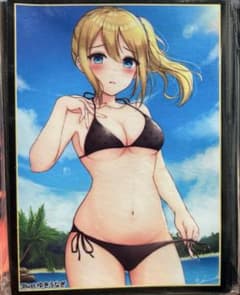 파랑 * 님 카구야 님은 알리고 싶어 하야사카 아이 슬리브