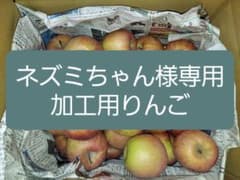 【ネズミちゃん様専用j11】加工用りんごのサムネイル