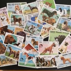 海外ヴィンテージ使用済み切手（犬）ランダム20枚 - メルカリ