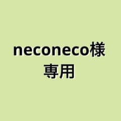 【neco neco様専用】 バッテリーのサムネイル