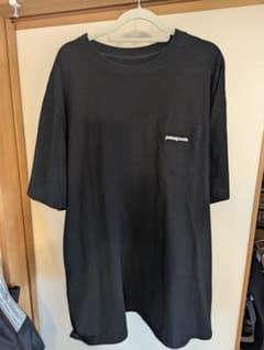 patagonia ブラック Tシャツ Lサイズのサムネイル
