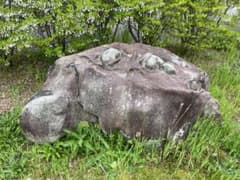 m34987054411_1.jpg?1737557797