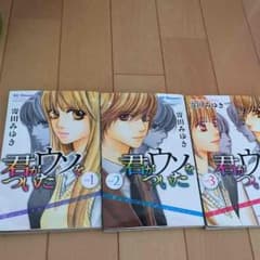 君がウソをついたのサムネイル