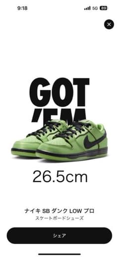 Powerpuff Girls Nike SB Dunk Low Pro ナイキのサムネイル