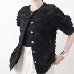 美品 24ss レサージュ ジャガード タックハーフスリーブブラウス ブラック 美品 24ss レサージュ ジャガード タックハーフスリーブブラウス