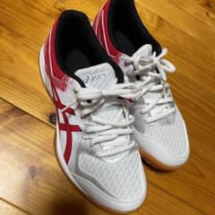 アシックス　バレーボールシューズ　25cmのサムネイル