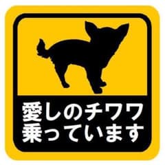 愛しのチワワ乗っています カー マグネットステッカー 13cmのサムネイル