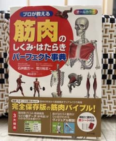 筋肉のしくみ・はたらきパーフェクト事典のサムネイル