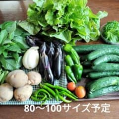新鮮野菜詰め合わせセット 80〜100サイズ予定のサムネイル