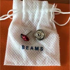 BEAMS ラペルピン てんとう虫のサムネイル