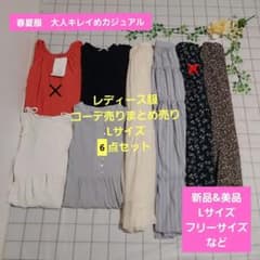 レディース服コーデ売りまとめ売り Lサイズ6点 春夏服大人キレイめ