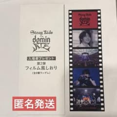 StrayKids スキズ 映画 入場特典 フィルム風しおり1枚 アイエン IN