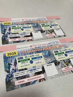 ナガシマスパーランド　パスポート券　2枚のサムネイル