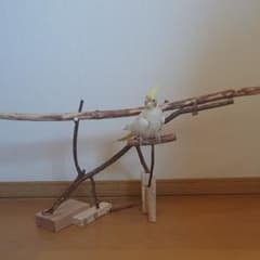 バードトイ ※ ハンドメイド ※ Gのサムネイル