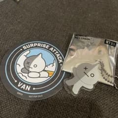 BT21 아크릴 키 매력 VAN