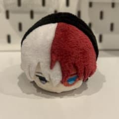 轟焦凍 ワールドヒーローズミッション もちマスのサムネイル