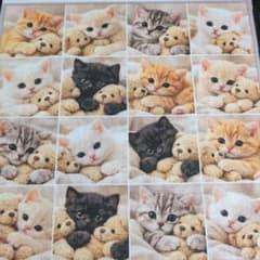 19 未使用 可愛い猫ちゃんパネル生地3枚 - メルカリ