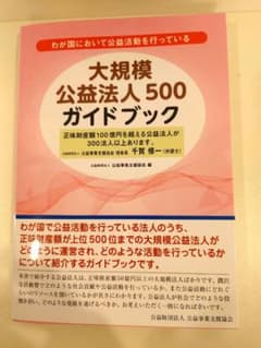 大規模公益法人500ガイドブックのサムネイル