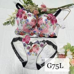 新品】wacoal サルート 60 ブラ ショーツセット G75L IV - メルカリ