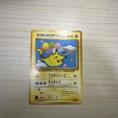 そらをとぶピカチュウ_ANA 「ジェットでゲットだ！Wチャンス
