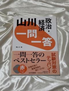 山川 一問一答政治・経済のサムネイル