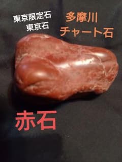 m35216507341_1.jpg?1745873646