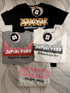 けものフレンズ　ジャパリパーク　Tシャツ　Mサイズ　4種セット　未使用
