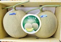 高知産 大玉温室マスクメロン 2玉 約4，2Kg～ A品 北海道沖縄発送