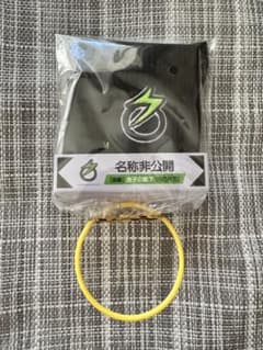 GIGO限定 名称非公開【急募】迷子の靴下【もう片方】