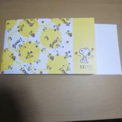 エコー写真アルバムのサムネイル